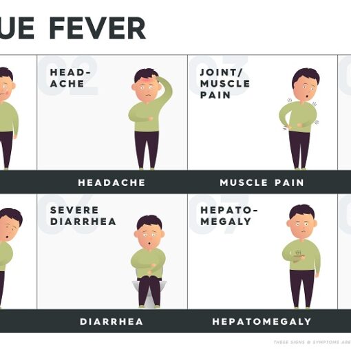 Test Dengue tramite sangue test rapidi IVY